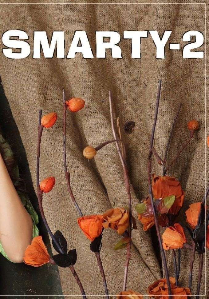 SMARTY VOL-2 BY ASLIWHOLESALE 501 TO 508 SERIES DESIGNER RAYON KURTIS