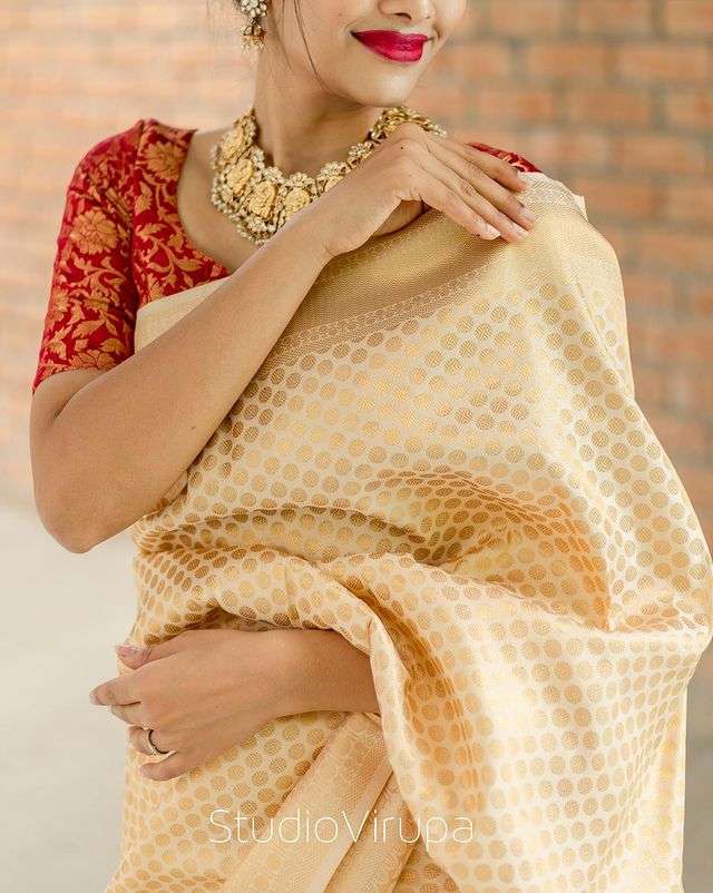 GOLDEN RANI BY ASLIWHOLESALE SOFT LITCHI BANARASI SILK SAREE