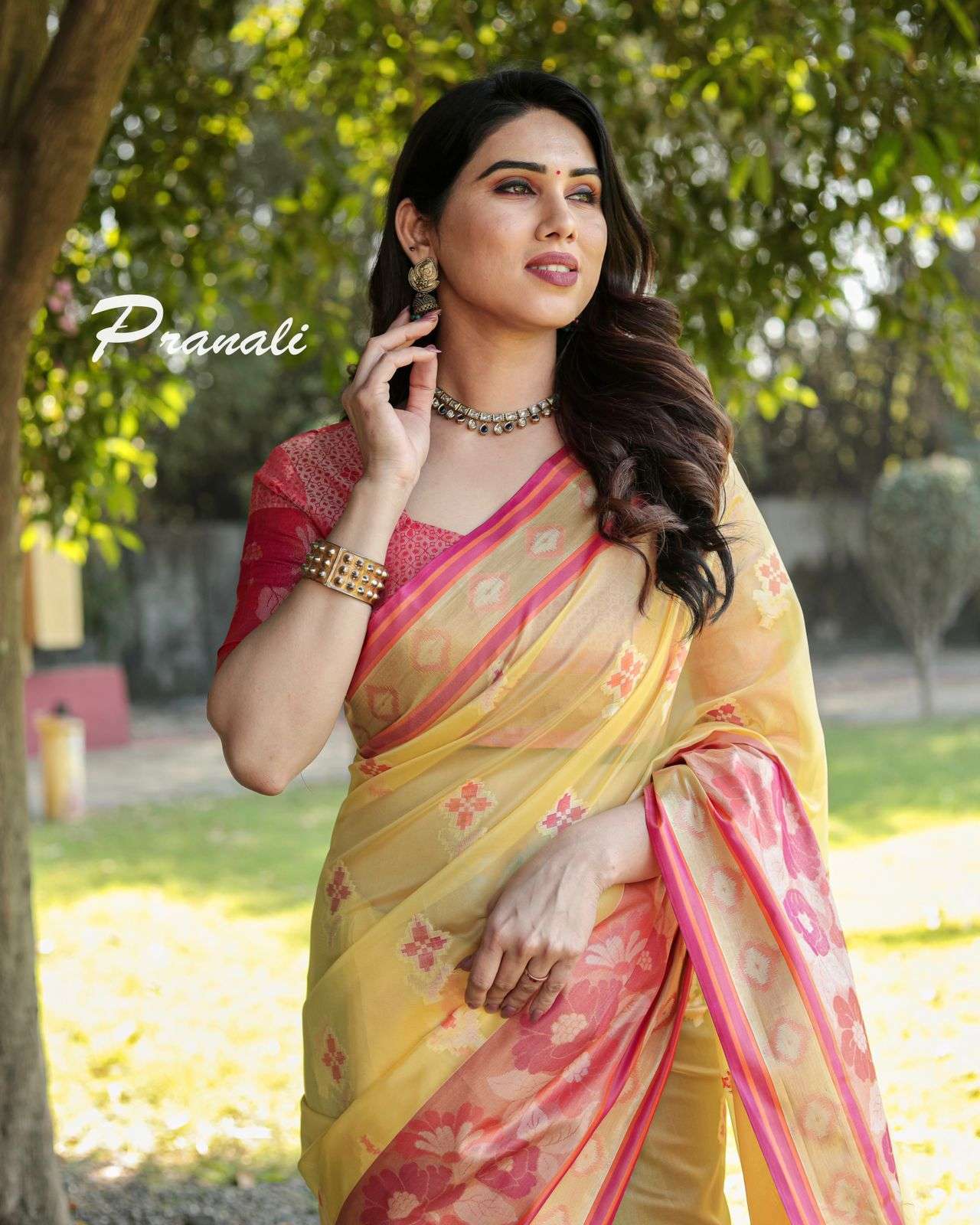 PRANALI BY ASLIWHOLESALE DESIGNER ORGANZA WORK SAREES