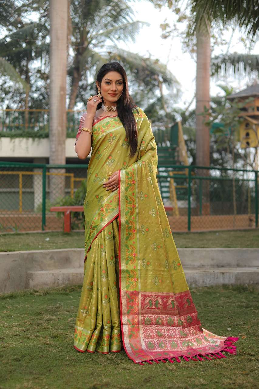 IKKTA BY ASLIWHOLESALE DESIGNER PURE ORGANZA WEAVING PATOLA SAREES